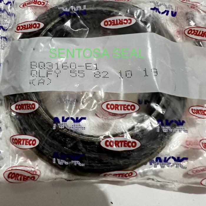 Oil Seal NOK BQ3160E