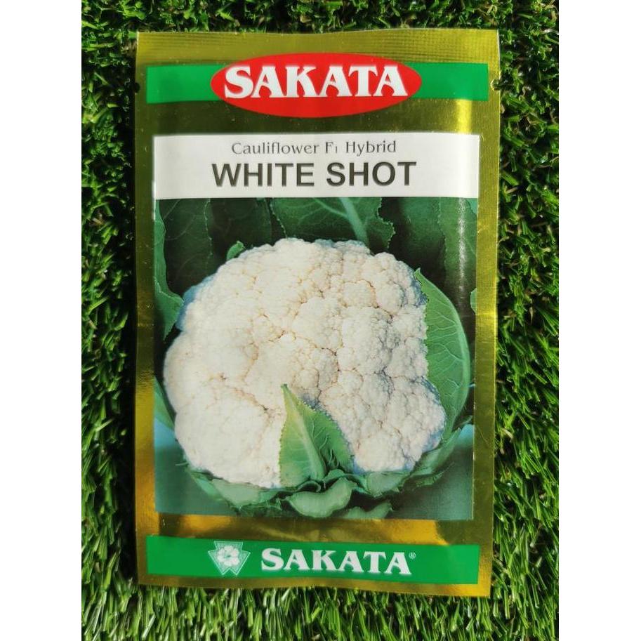 Benih bunga kol sakata white shot F1