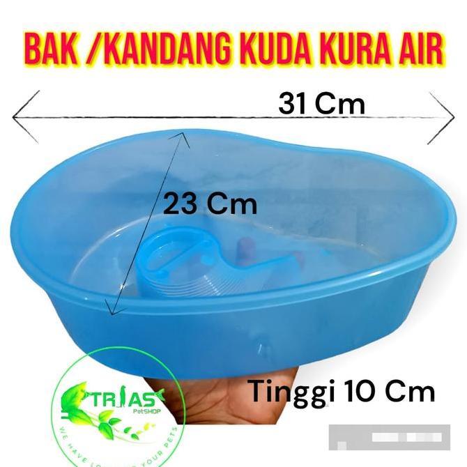 Bak kandang kura kura air kecil/turtle box kura kura air/box kura kura