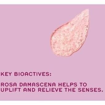 REN Clean Skincare Moroccan Rose Otto Body Wash Hydrating Natural ori