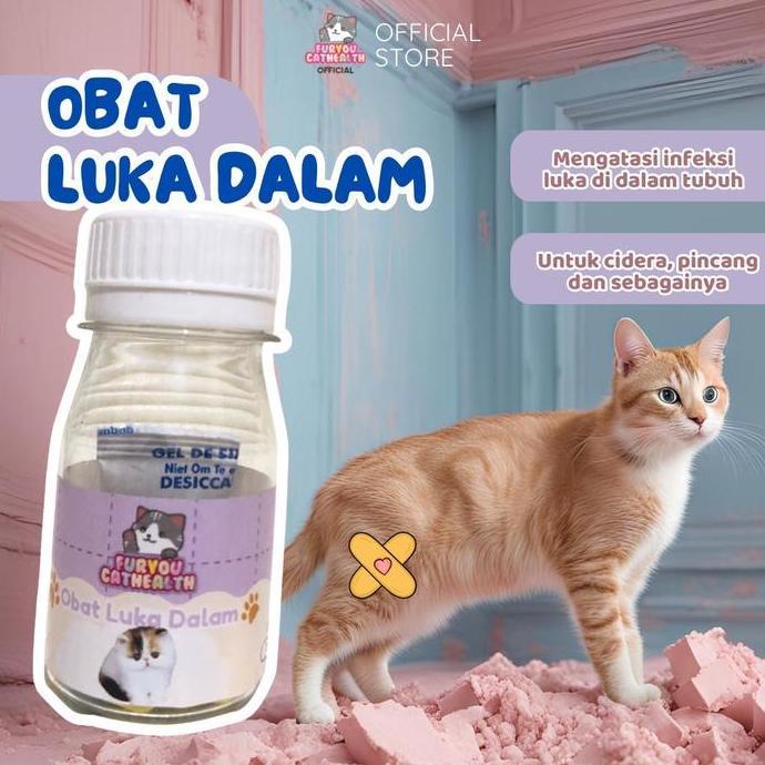Furyou Luka Dalam Anabul sariawan parah atau sehabis terjatuh - 12 Kapsul
