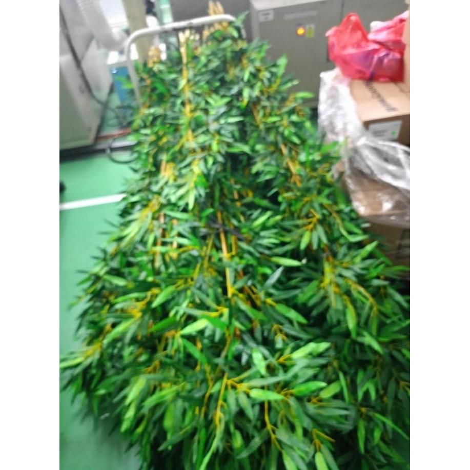 Homeyou- Pohon Bambu Partisi Cendani Batang Asli Tinggi 100Cm Total Dengan Daun Tinggi 120Cm Bunga P