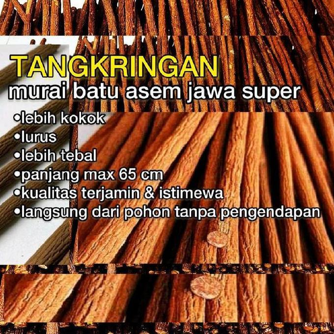 Tangkringan Pangkringan Asem Jawa Super Murai Batu Kacer Cucak Ijo Kenari Lovebird murah