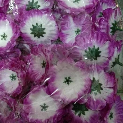 bunga suyok (100pcs)