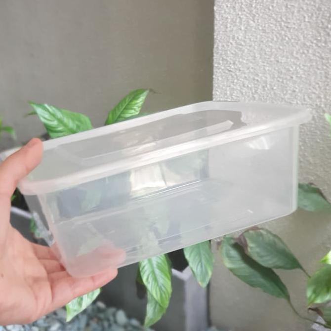 Ebyokurwa- Thinwall Square 2000Ml / Thinwall Kotak 2000Ml. Isi 25Pcs