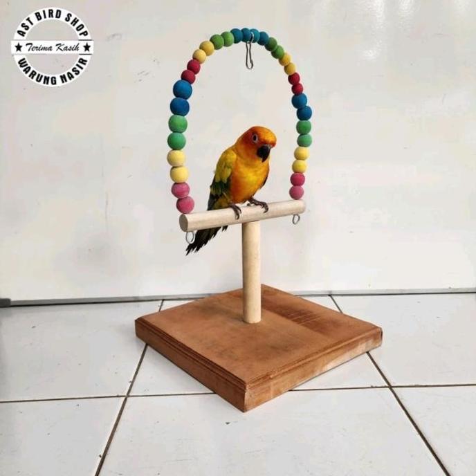 Stand tangkringan burung sunconure cockatiel