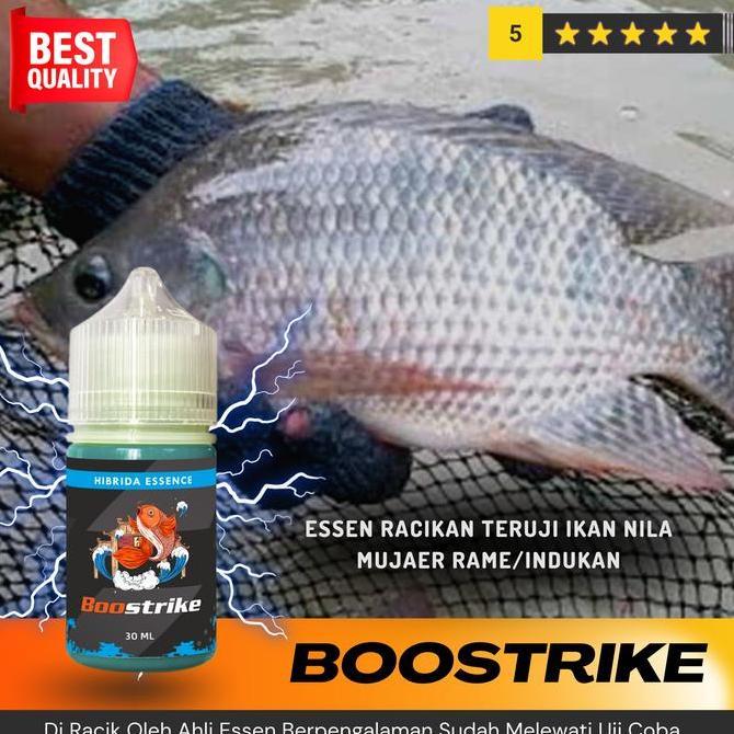 Essen Oplosan Ikan Nila Media Pelet - Umpan Terbaik untuk Mancing Ikan