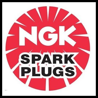 DISKON BUSI NGK MOBIL DATSUN CROSS, DATSUN GO, DATSUN GO+ ASLI ORIGINAL