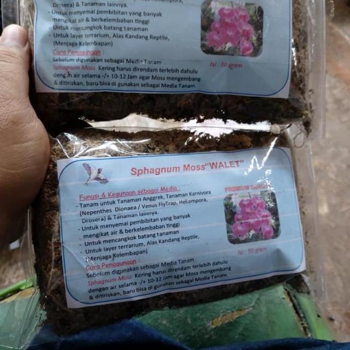 Media Tanaman bunga anggrek - sphagnum moss