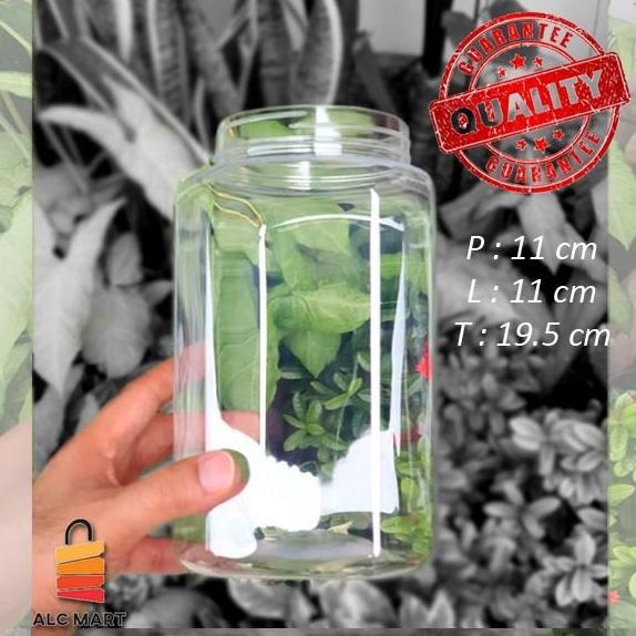 TOPLES CUPANG 2 LITER READY