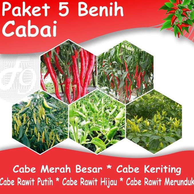 Paket Benih Cabe 5 Jenis Bibit Sayuran Cabai Merah Besar Keriting Rawit Hijau Rawit Putih Rawit Meru