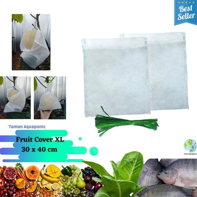 Fruit Cover/Pembungkus Buah XL 25 pcs