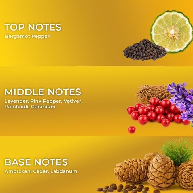 Dasfelix Summer Fighter - Extrait de Parfum - Parfum Pria Tahan Lama - Aroma Segar Citrus