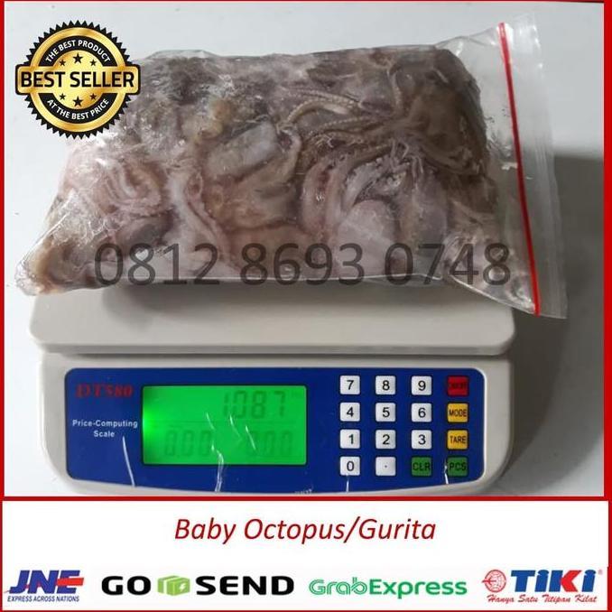 Baby Gurita Segar Beku 1 kg / baby gurita frozen/ baby octopus murah
