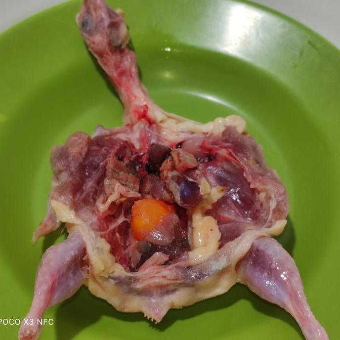 Puyuh Malond Tanpa Jeroan