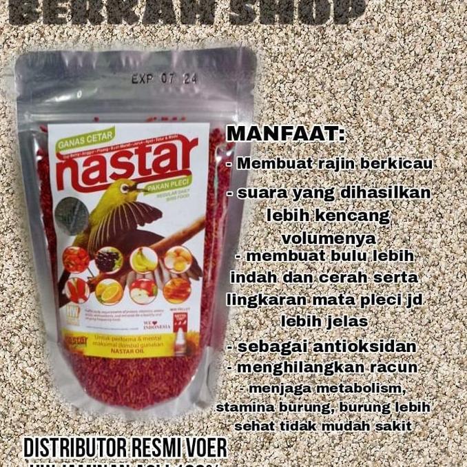 HW Nastar Pleci