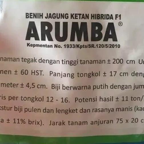 Benih / bibit Jagung putih pulut manis ARUMBA
