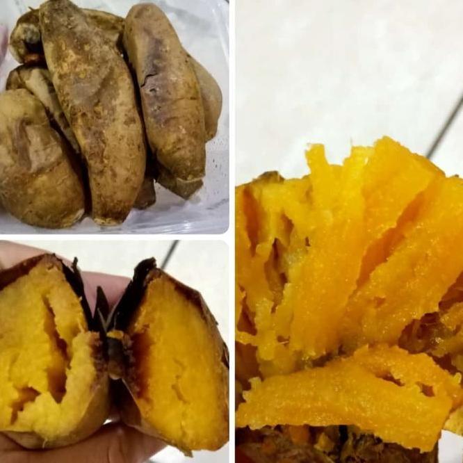 ubi cilembu matang oven