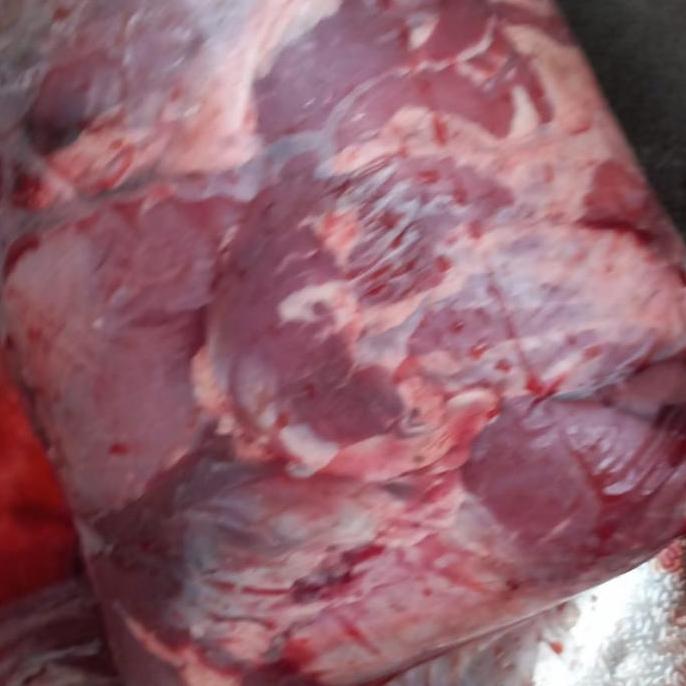 Daging Babi Hutan Segar / 1kg