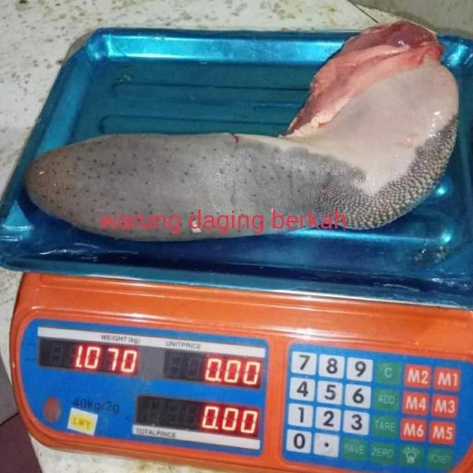 lidah sapi lokal fresh