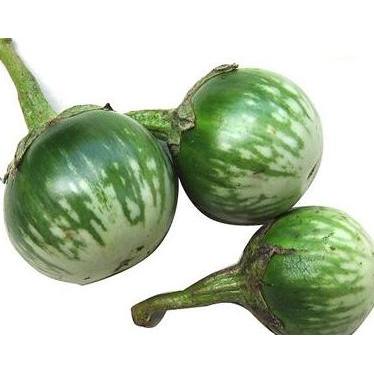 Benih / Bibit / Biji - Terong Hijau Bulat Lalapan Limao Jawara - LOKAL