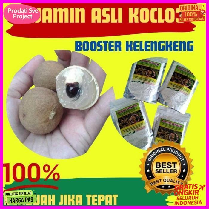 Booster Kelengkeng Cepat Berbuah, Booster Kelengkeng Kclo3 Murni, Booster Kelengkeng Murni