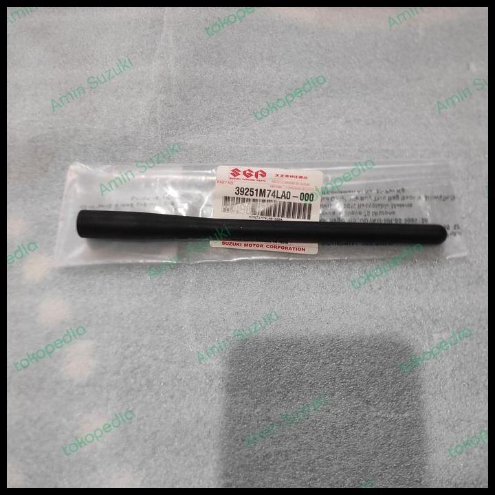 TERLARIS ANTENA IGNIS ASLI SGP 