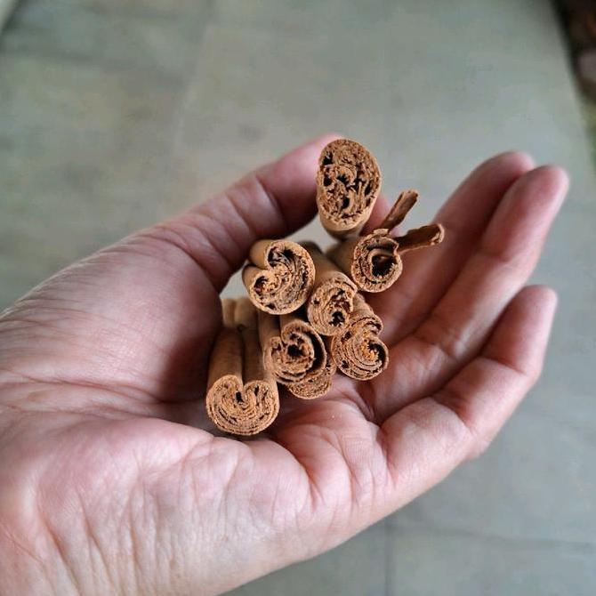 Kayu manis batang Ceylon Cinnamon Stick Quill ORIGINAL SRILANKA 50gram HM