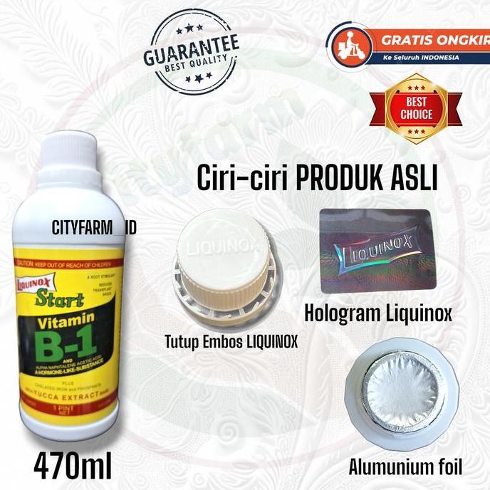 Pupuk Vitamin B1 Tanaman Original USA Berhologram 470ml