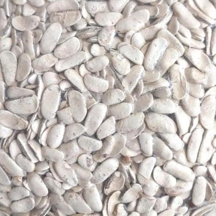 Biji Mahoni Kupas 500 gram - Biji Buah Mahoni Kupas