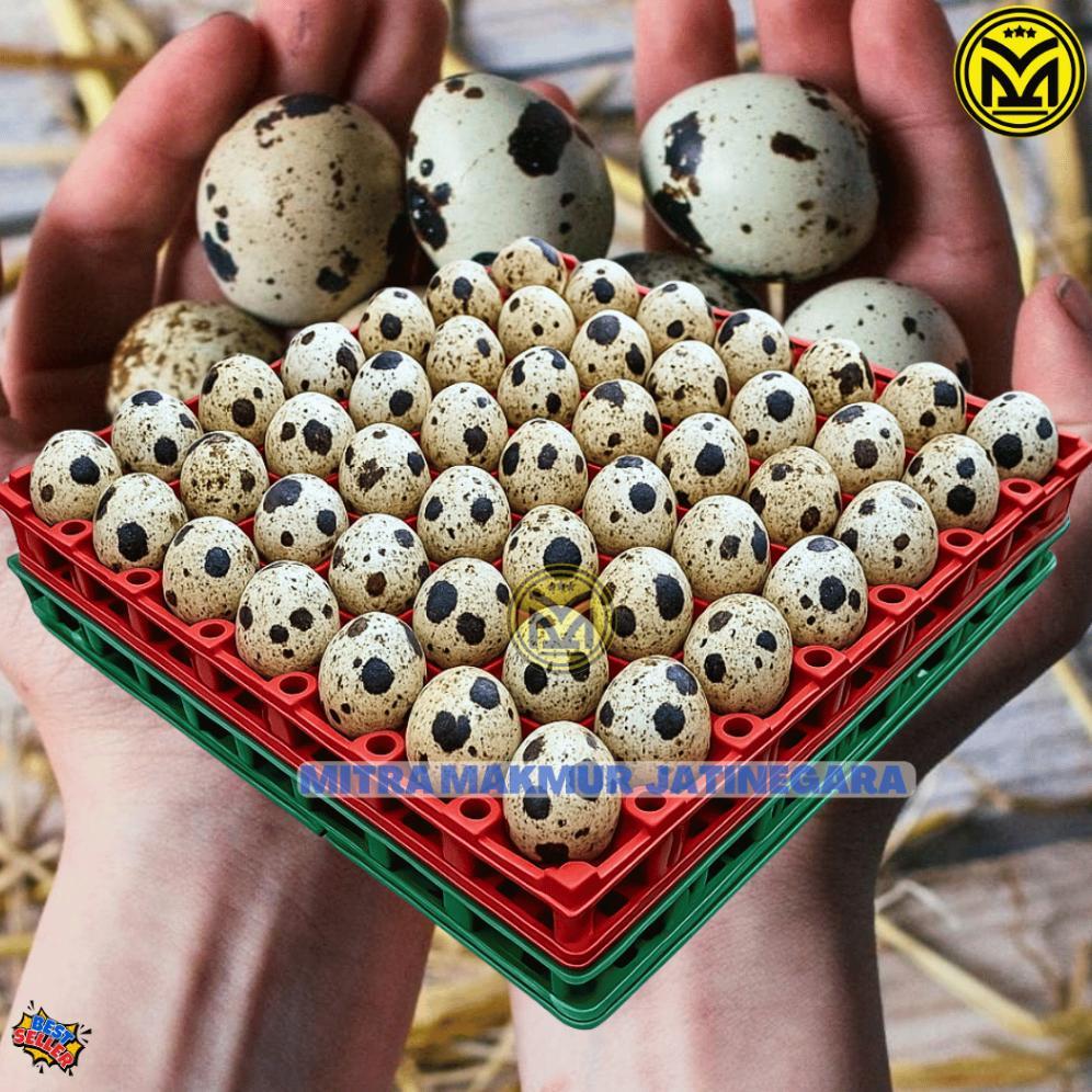 Krat Telur Puyuh Plastik Isi 90 Telur Tray Egg Puyuh Krat Plastik Telor Puyuh Ready