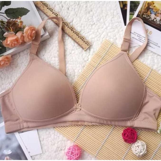 Wajib Punya 6 Pcs Grosir Bra Bh Wanita Dewasa Dan Remaja / Bh Busa Murah Mewah