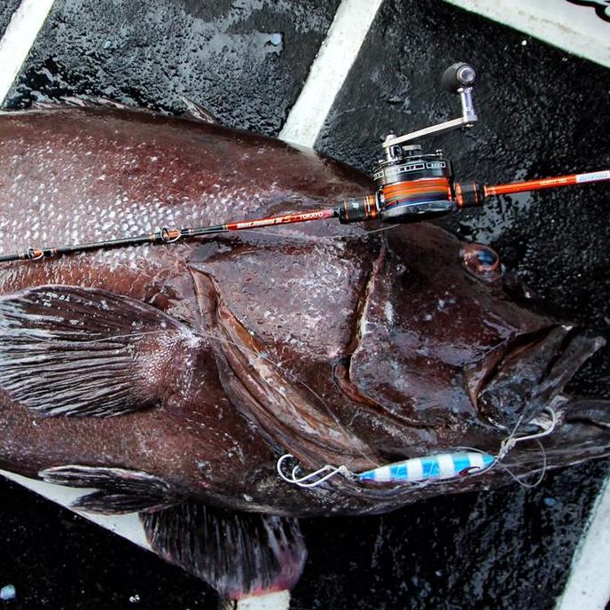 JORAN TOKAYO HEARTY RISE SLOW JIGGING III S