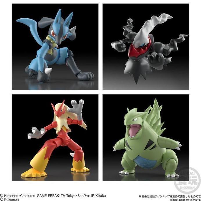 SHODO Pokemon 3 [Pokemon Diamond Pearl Platinum] Lucario