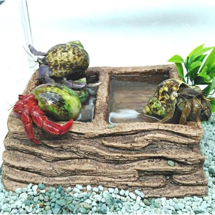 WD016B WATERDISH FEEDING FOODDISH 2IN1 RAMP TEMPAT WADAH AIR MINUMAN MANGKUK MAKAN MINUM KELOMANG BR