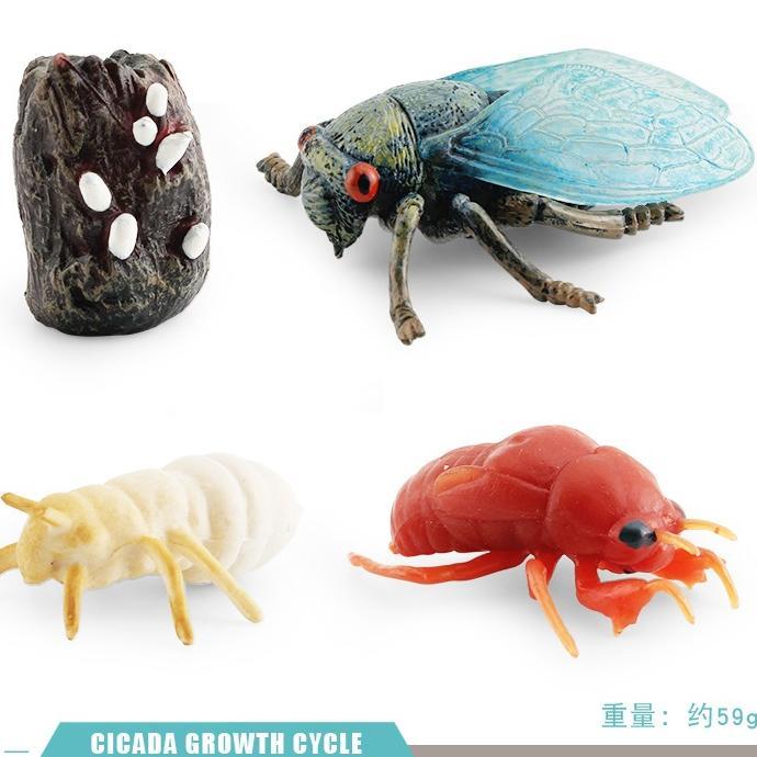 Tahan Lama  Mainan Binatang Edukasi Anak Tk Sd Hewan Belajar Mengenal Metamorfosis Simulasi Hewan Ma