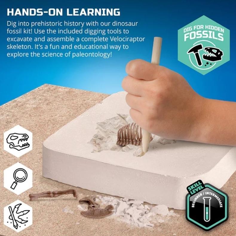 Sale Discovery Mindblown Dinosaur Fossil Dig Velociraptor Excavation Kit Skeleton