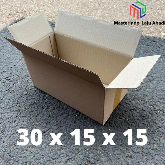 Kardus 30x15x15 Cm B1