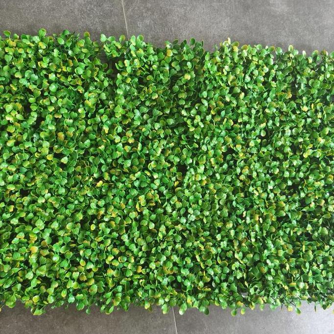 daun rambat dolar, daun sintetis, daun plastik, tanaman hias sintetis