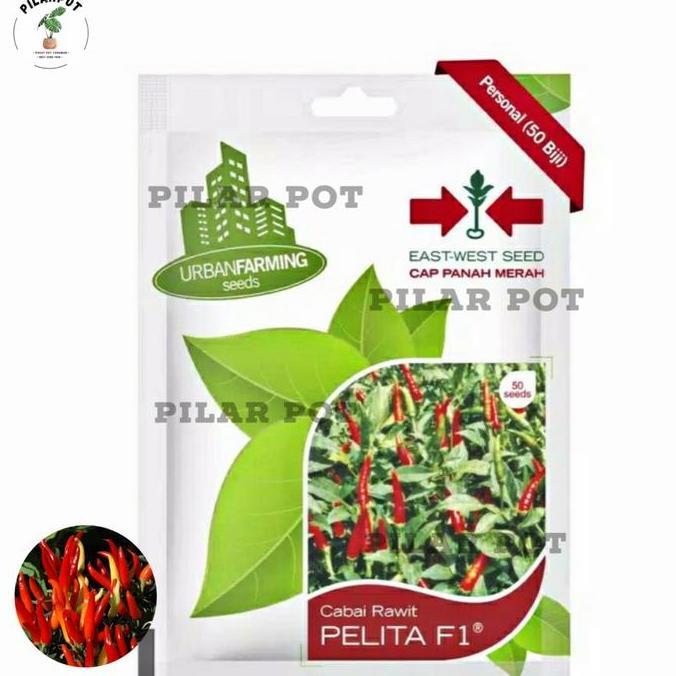 Okwemereza- Benih Bibit Cabai Rawit Pelita F1 Cap Panah Merah - Cabai Pelita F1