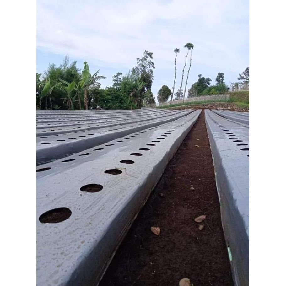 PLASTIK MULSA ( ECERAN ) HITAM PERAK