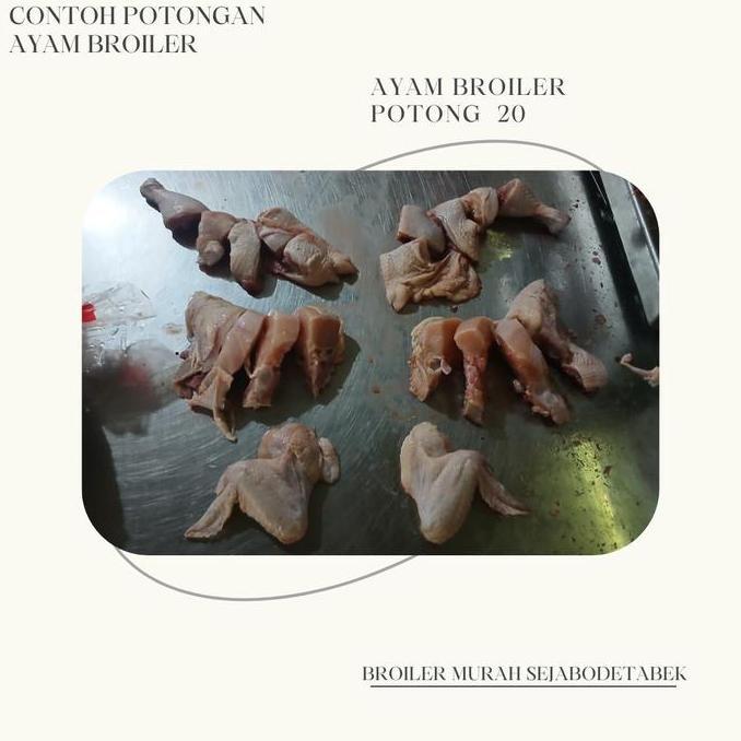 Beff- Ayam Broiler Frozen 1,1 Sd 1,2Kg Ayam Karkas/Ayam Murah/Ayam Broiler