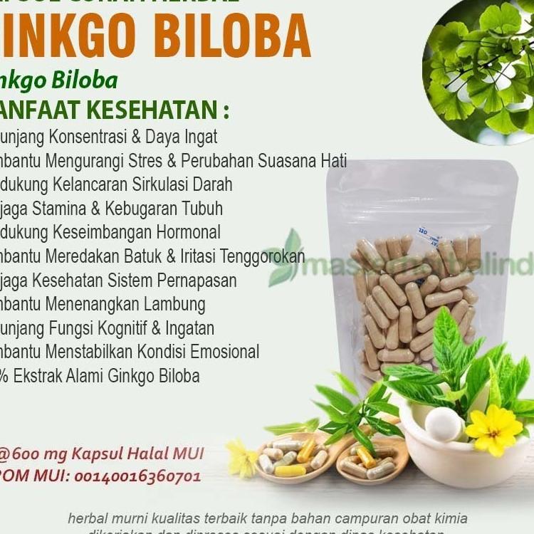 Ginkgo Biloba 100 Kapsul Curah Herbal