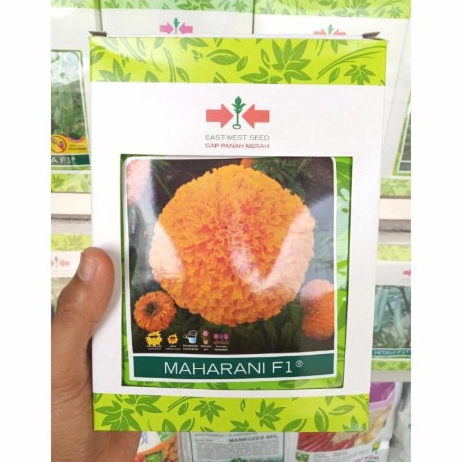 Benih Marigold MAHARANI F1 (100 Butir) - Bibit Bunga Cap Panah Merah