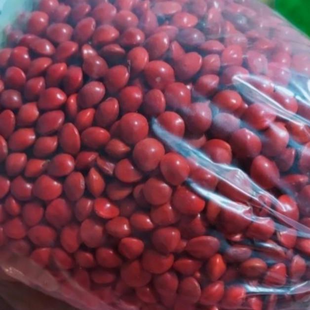 Biji Saga Merah 1 Kg Siap Goreng Organik Bibit Hasil Kehutanan Indo