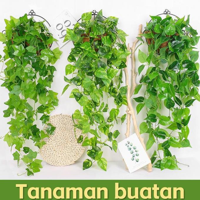 Dekorasi / Ornamen Tanaman Hias  Merambat / Hiasan Dinding Tanaman  Bunga Plastik tanaman    depan  
