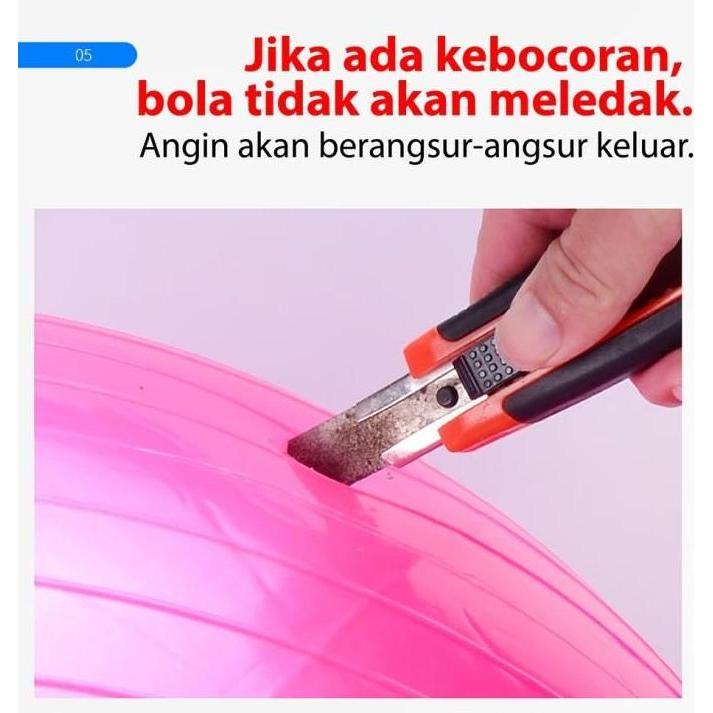 Lansungkirim- Bg Sport Gym Ball / Yoga Ball 45 Cm