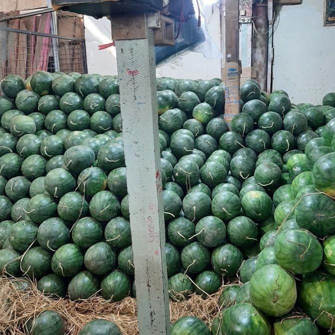 Fruting- Buah Semangka/ Buah Semangka/ Semangka Fresh
