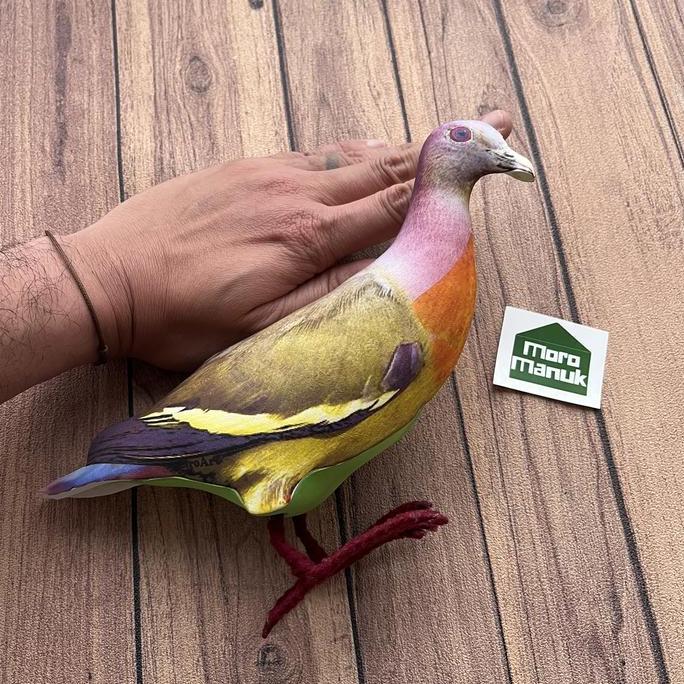 Jontrot Decoy Punai Gading-Patung Burung Punay Gading-alat pikat Punai