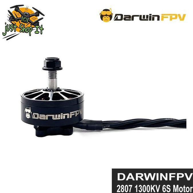 TERLARIS DARWINFPV 2807 1350KV 6S 5MM BRUSHLESS MOTOR FOR FPV DRONE